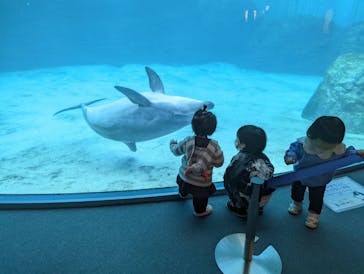 名古屋港水族館に投稿された画像（2022/4/3）