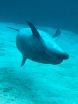 名古屋港水族館に投稿された画像（2022/4/3）