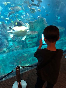 大分マリーンパレス水族館 「うみたまご」に投稿された画像（2022/4/3）