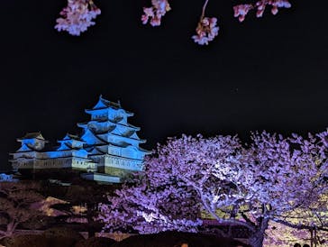 姫路城（イベント）に投稿された画像（2022/4/3）