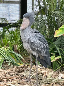 神戸どうぶつ王国に投稿された画像（2022/4/3）