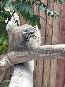 神戸どうぶつ王国に投稿された画像（2022/4/3）