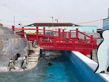 南知多ビーチランド＆南知多おもちゃ王国に投稿された画像（2022/4/3）