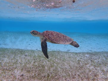 ちゃこたびに投稿された画像（2022/4/3）