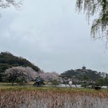 三溪園に投稿された画像（2022/4/3）