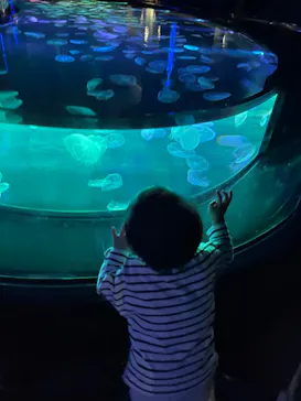 すみだ水族館に投稿された画像（2022/4/3）