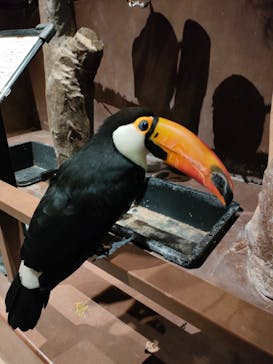 Moff animal world MARK IS みなとみらい店に投稿された画像（2022/4/3）