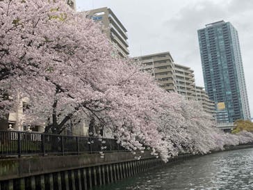 インディクルーズに投稿された画像（2022/4/3）