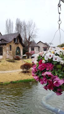 河口湖 音楽と森の美術館に投稿された画像（2022/4/3）