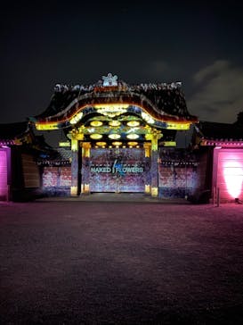 NAKED FLOWERS 2022 -桜- 世界遺産・二条城に投稿された画像（2022/4/3）