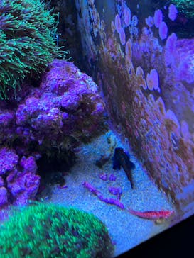 マクセル アクアパーク品川に投稿された画像（2022/4/3）