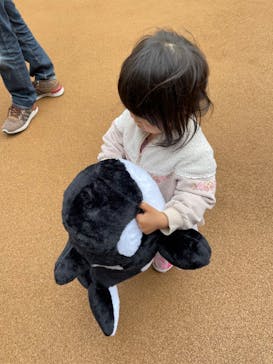 名古屋港水族館に投稿された画像（2022/4/3）