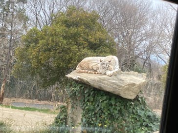 群馬サファリパークに投稿された画像（2022/4/3）