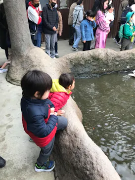 神戸どうぶつ王国に投稿された画像（2022/4/3）