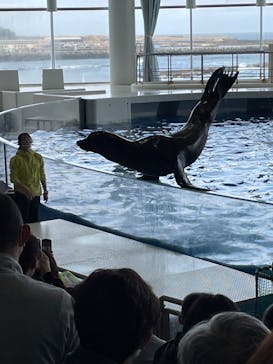 アクアワールド茨城県大洗水族館に投稿された画像（2022/4/3）