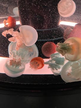 マクセル アクアパーク品川に投稿された画像（2022/4/3）