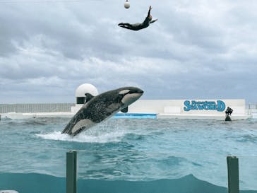 鴨川シーワールドに投稿された画像（2022/4/3）