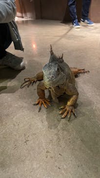 Moff animal world MARK IS みなとみらい店に投稿された画像（2022/4/3）