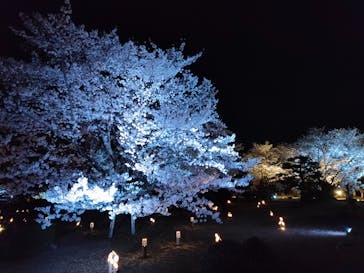 姫路城（イベント）に投稿された画像（2022/4/3）