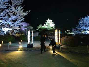 姫路城（イベント）に投稿された画像（2022/4/3）