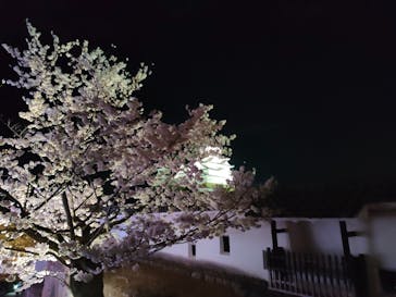 姫路城（イベント）に投稿された画像（2022/4/3）