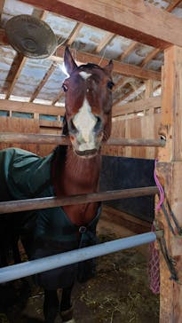 マリンズステーブルに投稿された画像（2022/4/3）