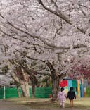 千葉こどもの国 キッズダムに投稿された画像（2022/4/3）