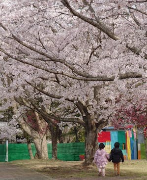 千葉こどもの国 キッズダムに投稿された画像（2022/4/3）