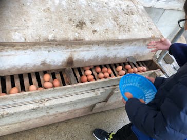 農業公園信貴山のどか村に投稿された画像（2022/4/3）