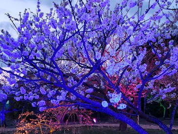 せんだい農業園芸センター　みどりの杜に投稿された画像（2022/4/3）