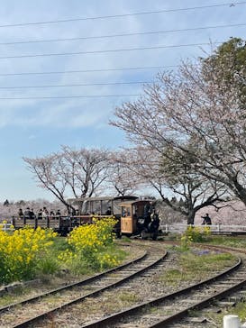 成田ゆめ牧場に投稿された画像（2022/4/3）