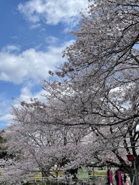 成田ゆめ牧場に投稿された画像（2022/4/3）