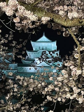 姫路城（イベント）に投稿された画像（2022/4/3）