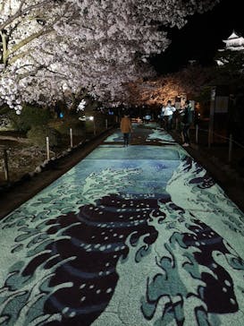 姫路城（イベント）に投稿された画像（2022/4/3）