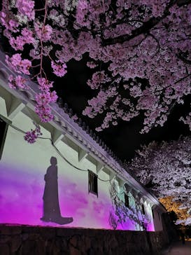 姫路城（イベント）に投稿された画像（2022/4/3）