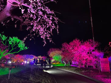 せんだい農業園芸センター　みどりの杜に投稿された画像（2022/4/3）