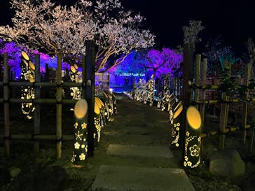 せんだい農業園芸センター　みどりの杜に投稿された画像（2022/4/3）