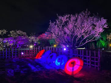 せんだい農業園芸センター　みどりの杜に投稿された画像（2022/4/3）