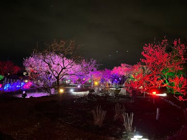 せんだい農業園芸センター　みどりの杜に投稿された画像（2022/4/3）