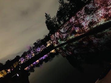 NAKED FLOWERS 2022 -桜- 世界遺産・二条城に投稿された画像（2022/4/3）