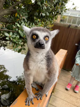 神戸どうぶつ王国に投稿された画像（2022/4/3）