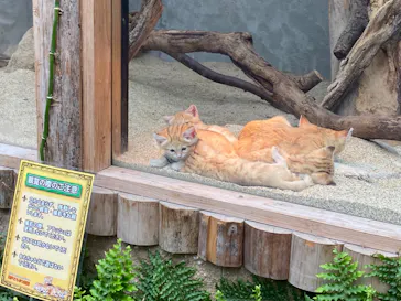 神戸どうぶつ王国に投稿された画像（2022/4/3）