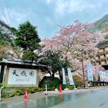 箱根湯本温泉 天成園に投稿された画像（2022/4/3）