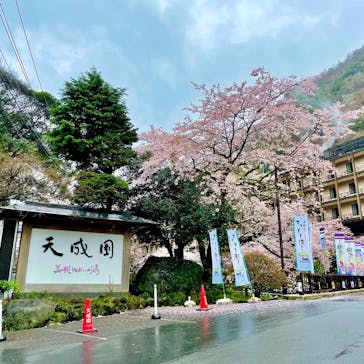 箱根湯本温泉 天成園に投稿された画像（2022/4/3）