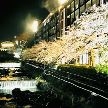 箱根湯本温泉 天成園に投稿された画像（2022/4/3）