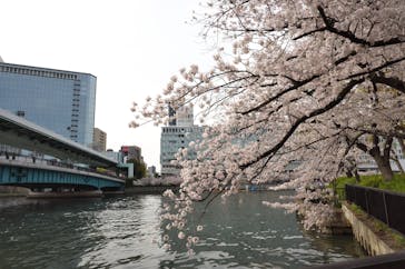 京阪電車に投稿された画像（2022/4/3）