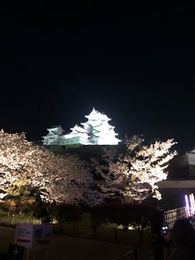 姫路城（イベント）に投稿された画像（2022/4/3）