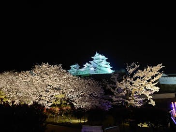 姫路城（イベント）に投稿された画像（2022/4/3）