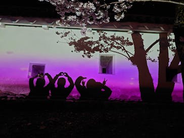 姫路城（イベント）に投稿された画像（2022/4/3）