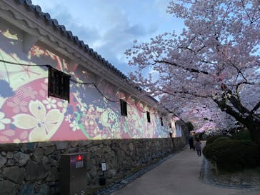 姫路城（イベント）に投稿された画像（2022/4/3）